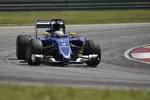 Foto zur News: Marcus Ericsson (Sauber)