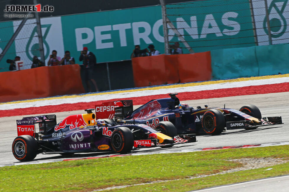 Foto zur News: Daniel Ricciardo (Red Bull) und Max Verstappen (Toro Rosso)