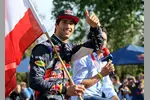 Foto zur News: Daniel Ricciardo (Red Bull)