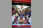 Foto zur News: Pierre Gasly (Toro Rosso)