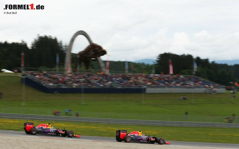 Foto zur News: Daniel Ricciardo (Red Bull) und Daniil Kwjat (Red Bull)