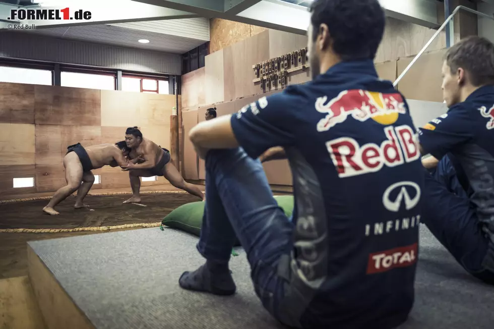 Foto zur News: Daniel Ricciardo, Daniil Kwjat (Red Bull)