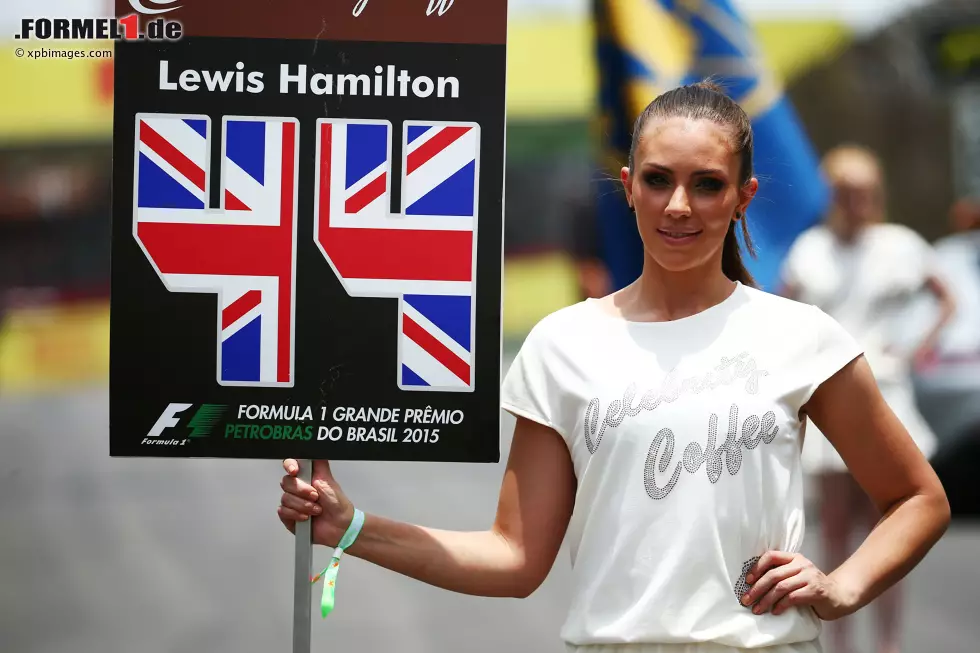 Foto zur News: Lewis Hamilton (Mercedes)