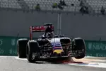 Gallerie: Max Verstappen (Toro Rosso)