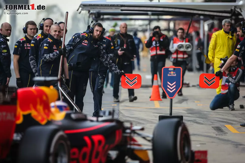 Foto zur News: Daniel Ricciardo (Red Bull)