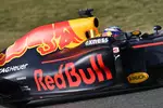 Foto zur News: Daniel Ricciardo (Red Bull)