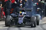 Gallerie: Max Verstappen (Toro Rosso)