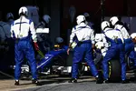 Foto zur News: Marcus Ericsson (Sauber)