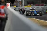 Foto zur News: Marcus Ericsson (Sauber)