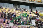 Foto zur News: Brasilianische Fans