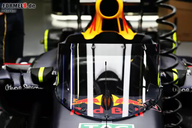 Für Formel-1-Fans bedeutet das neue System, das die Piloten vor umherfliegenden Objekten schützen soll, eine Umstellung. Foto zur News: Für Formel-1-Fans bedeutet das neue System, das die Piloten vor umherfliegenden Objekten schützen soll, eine Umstellung.