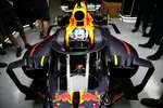 Foto zur News: Daniel Ricciardo (Red Bull)