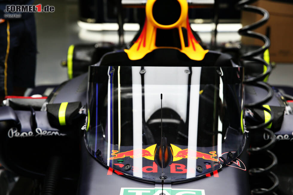 Foto zur News: Für Formel-1-Fans bedeutet das neue System, das die Piloten vor umherfligenden Objekten schützen soll, eine Umstellung.