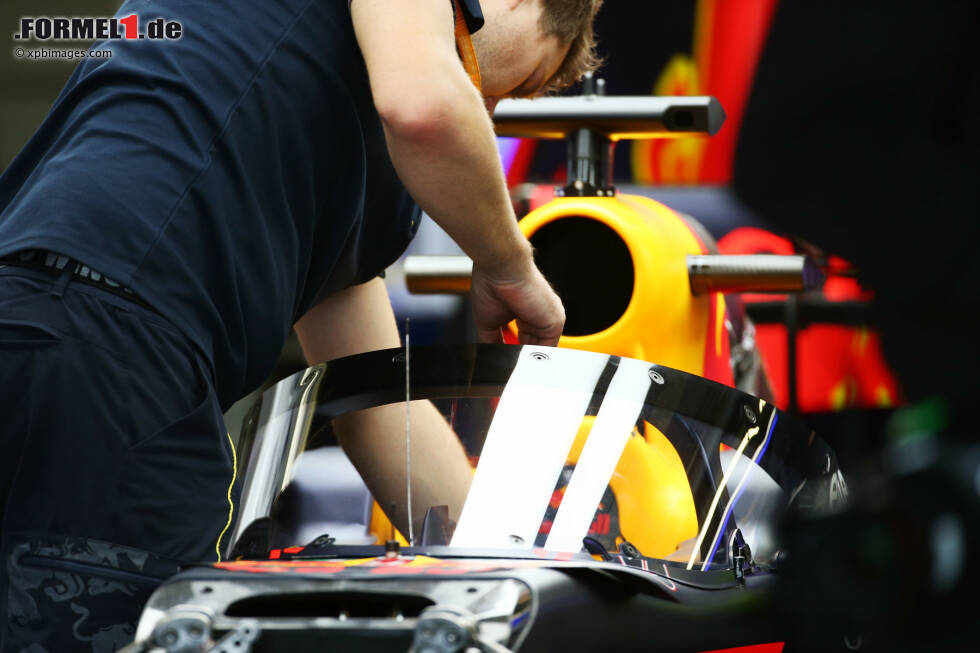 Foto zur News: Red-Bull-Cockpitschutz
