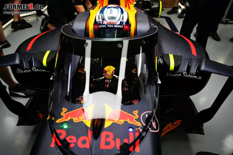 Foto zur News: Daniel Ricciardo (Red Bull)