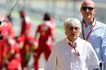 Foto zur News: Bernie Ecclestone