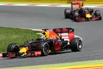 Foto zur News: Daniel Ricciardo (Red Bull)