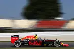 Foto zur News: Max Verstappen (Red Bull)