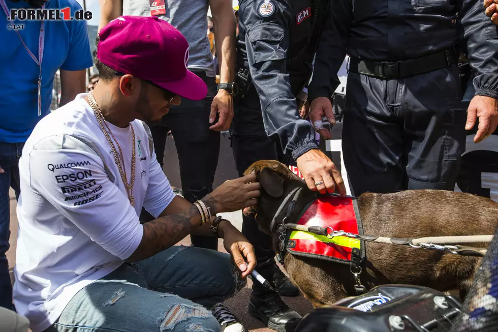 Foto zur News: Lewis Hamilton (Mercedes)