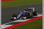 Foto zur News: Felipe Nasr (Sauber)