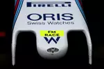 Foto zur News: Williams FW38