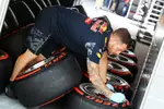 Foto zur News: Red-Bull-Reifenmechaniker