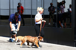 Foto zur News: Hunde Roscoe &amp; Coco von Lewis Hamilton (Mercedes)