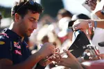 Foto zur News: Daniel Ricciardo (Red Bull)