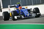 Foto zur News: Felipe Nasr (Sauber)