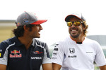 Foto zur News: Carlos Sainz (Toro Rosso) und Fernando Alonso (McLaren)