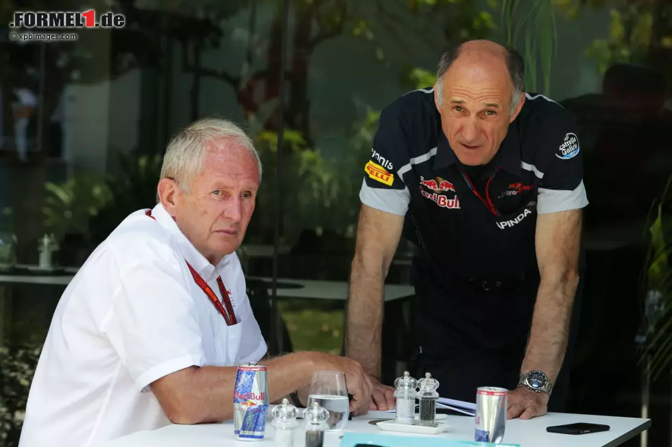 Foto zur News: Helmut Marko und Franz Tost