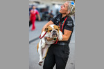 Foto zur News: Hund von Lewis Hamilton (Mercedes)