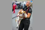 Foto zur News: Hund von Lewis Hamilton (Mercedes)