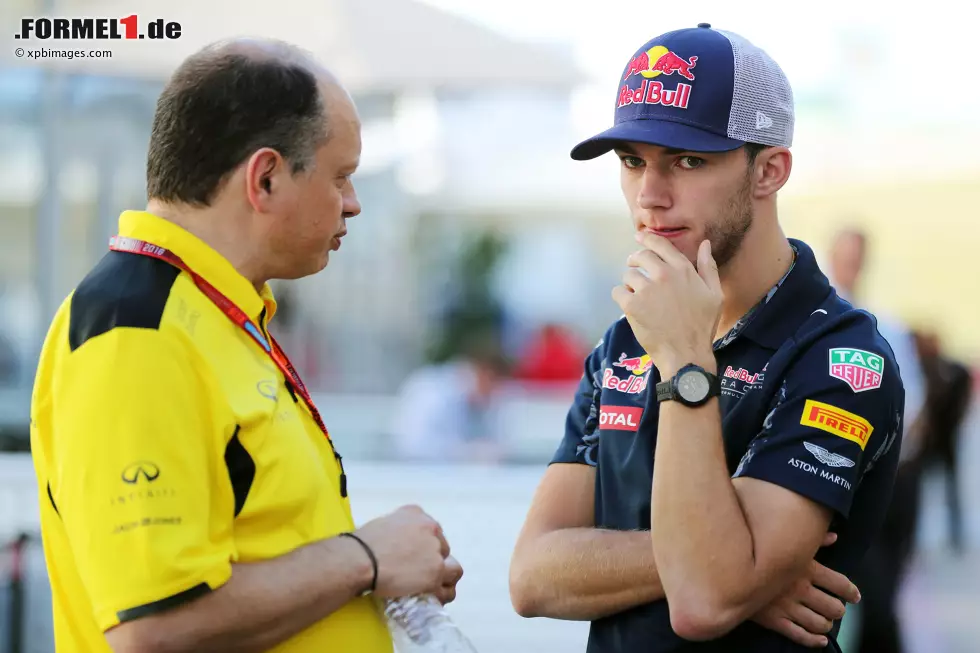 Foto zur News: Pierre Gasly