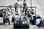 Foto zur News: Felipe Nasr (Sauber)