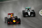 Foto zur News: Max Verstappen (Red Bull) und Nico Rosberg (Mercedes)