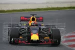 Foto zur News: Max Verstappen (Red Bull)