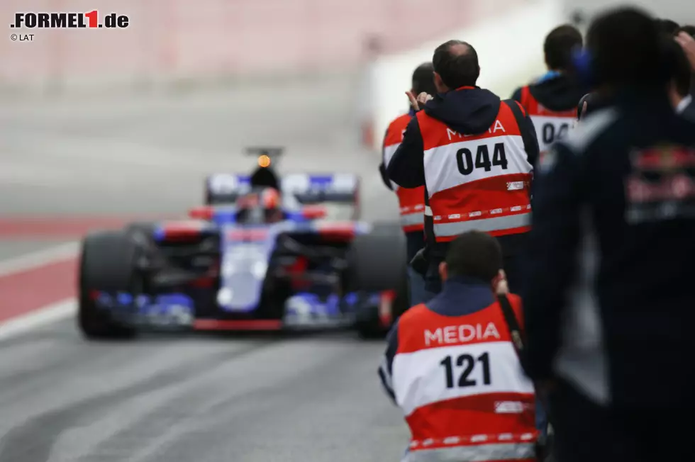 Foto zur News: Daniil Kwjat (Toro Rosso)