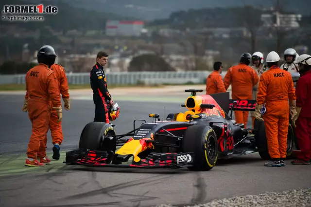 Foto zur News: Max Verstappen (Red Bull)