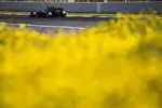 Foto zur News: Kevin Magnussen (Haas)