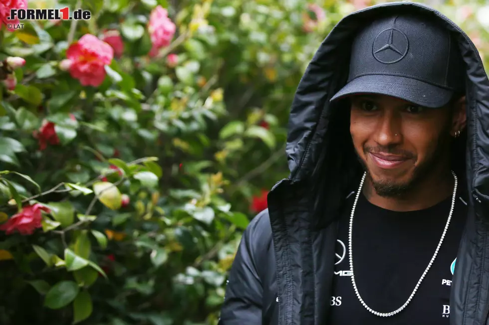 Foto zur News: Lewis Hamilton (Mercedes)