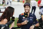 Foto zur News: Daniel Ricciardo (Red Bull)