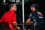 Foto zur News: David Coulthard und Daniel Ricciardo (Red Bull)