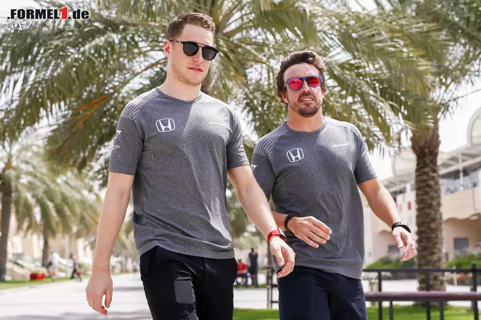 Foto zur News: Stoffel Vandoorne (McLaren) und Fernando Alonso (McLaren)