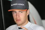 Foto zur News: Stoffel Vandoorne (McLaren)