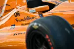 Foto zur News: Fernando Alonso