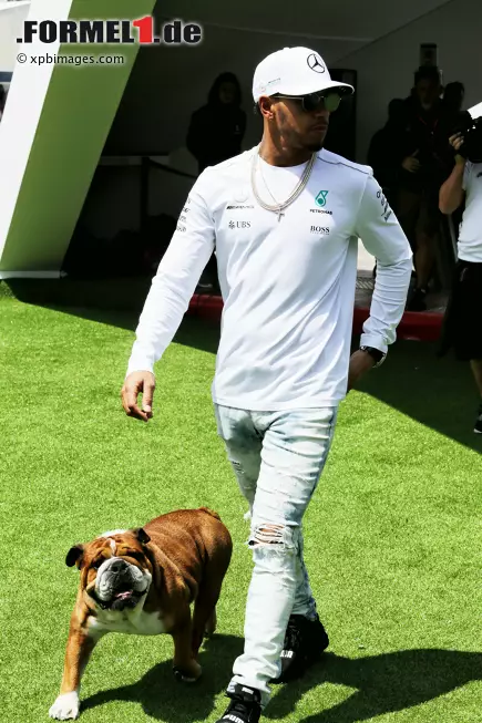 Foto zur News: Lewis Hamilton (Mercedes)