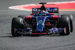 Foto zur News: Daniil Kwjat (Toro Rosso)