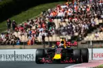 Foto zur News: Daniel Ricciardo (Red Bull)