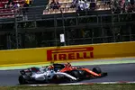 Foto zur News: Felipe Massa (Williams) und Stoffel Vandoorne (McLaren)